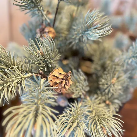 Kikut Panorama Ski-in Ski-out * Geilo