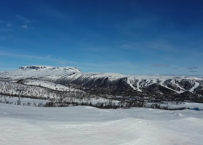 Kikut Panorama Ski-in Ski-out *