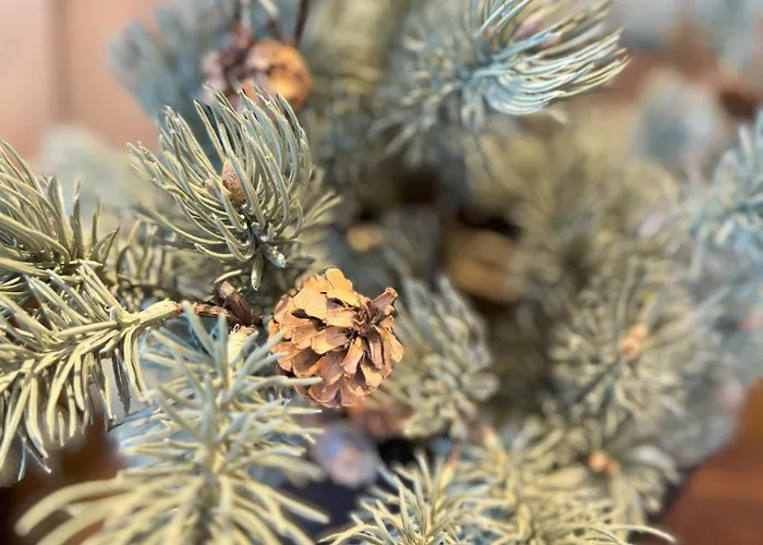 Kikut Panorama Ski-in Ski-out * Geilo